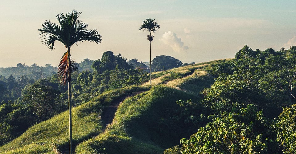 Sustainable swimsuits