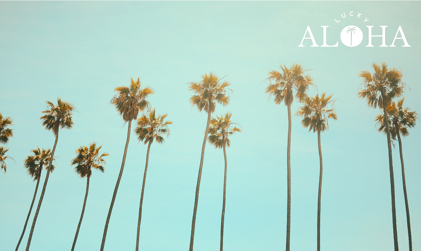 Lucky Aloha Swimwear - Bikini Village