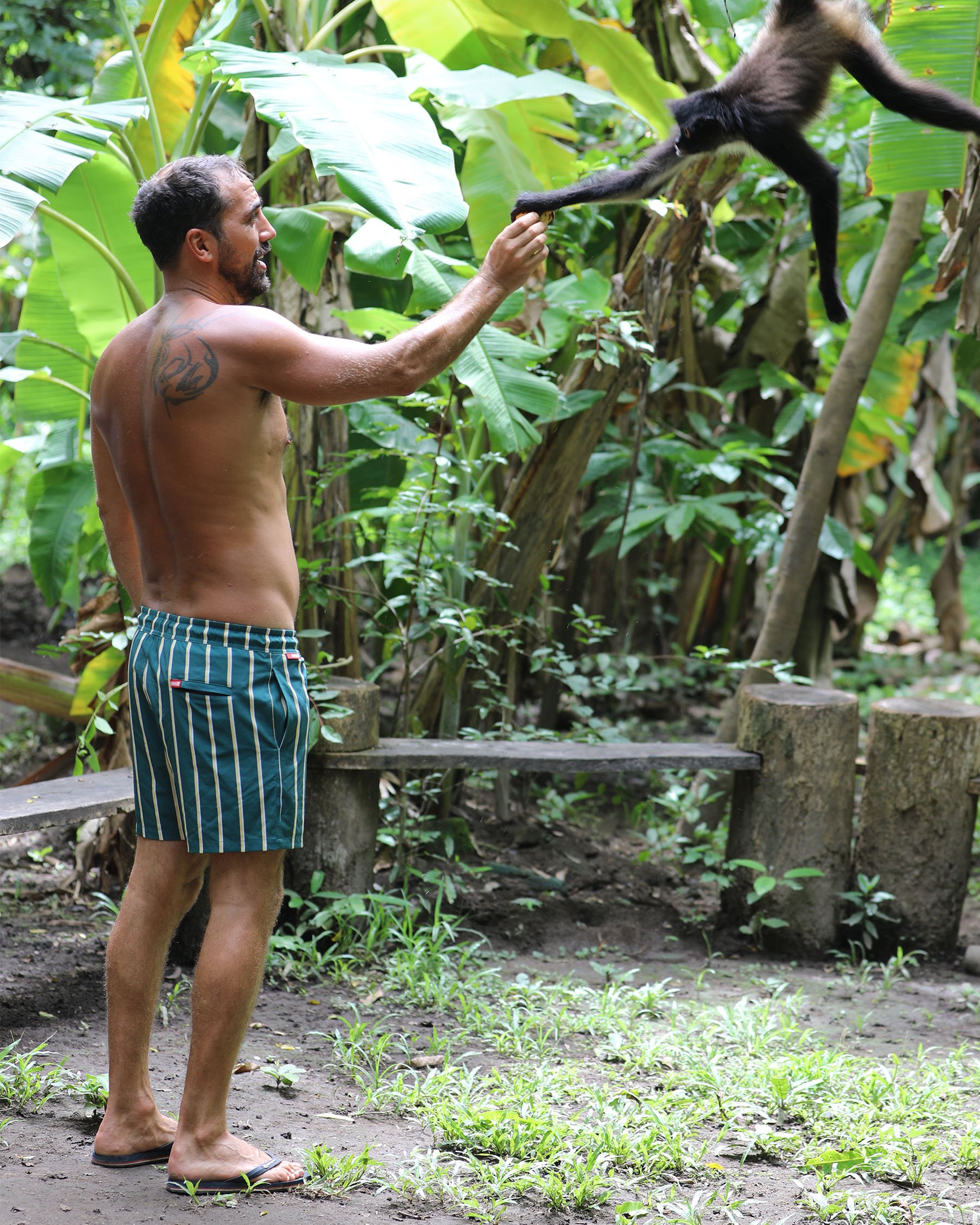 HAMABE Volley Swimsuit with Mesh Lining Stripes 03100006 - View1