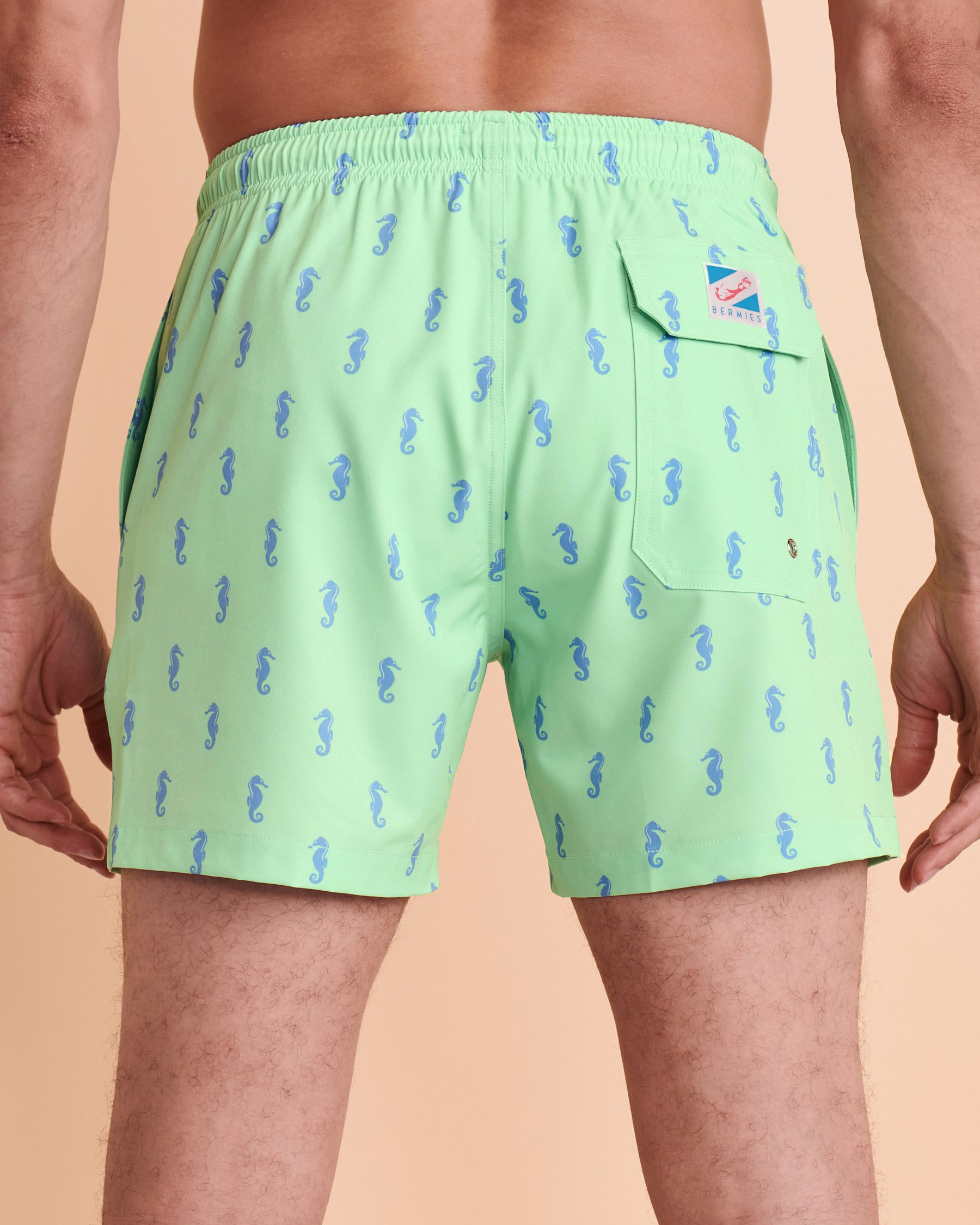 BERMIES SEA HORSE Volley Swimsuit Sea Horse SEAHORSE - View3