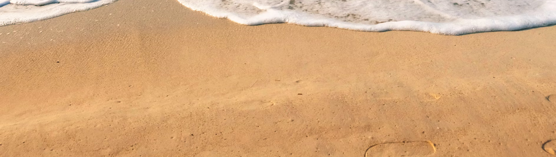 Branded swimwear & beachwear
